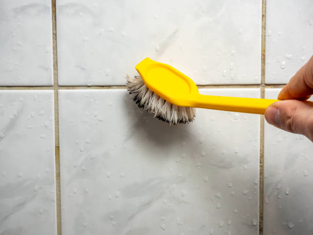 Best Mold Removal Company Near Me  in Baker, LA