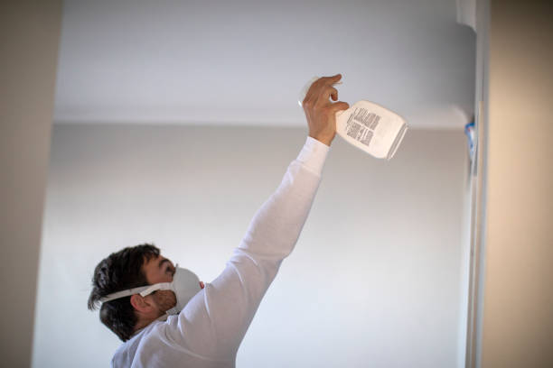 Best Black Mold Removal  in Baker, LA