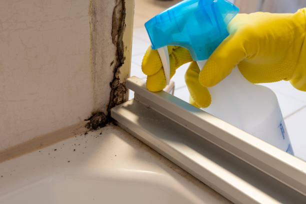 Home Mold Removal in Baker, LA