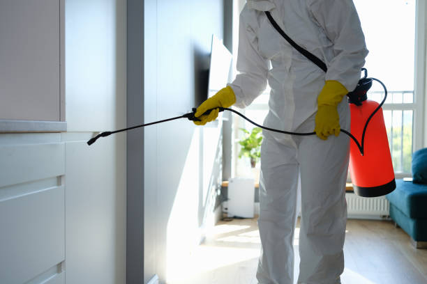 Best Attic Mold Removal  in Baker, LA