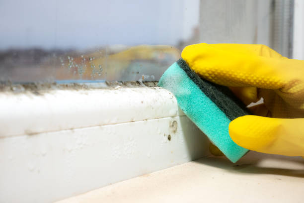 Best Mold Cleaning Services  in Baker, LA