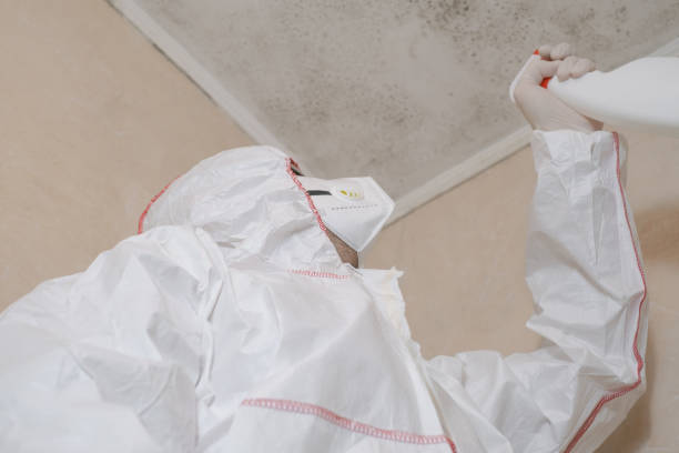 Best Best Mold Removal Companies  in Baker, LA