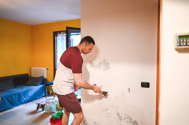Best Certified Mold Removal  in Baker, LA