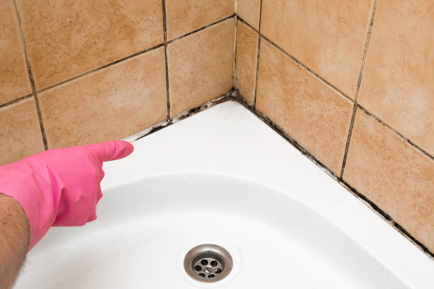 Best Office Mold Removal Services  in Baker, LA